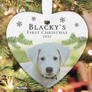 Joli premier Noël de chiot photo de Noël