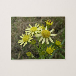 Joli puzzle Fleur sauvage jaune