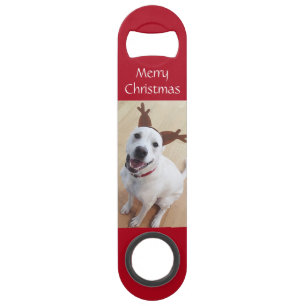Joli Rinder souriant Chien Chien Chien Blanc Chien