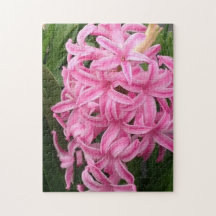 Joli rose Fleurs Hyacinth Jigsaw Puzzles