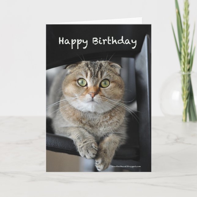 joli scottish berceau nouilles chat joyeux carte d (Devant)