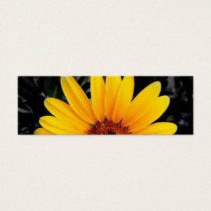 Joli signet de tournesol
