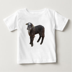 Joli T-shirt Lamb Brown bébé