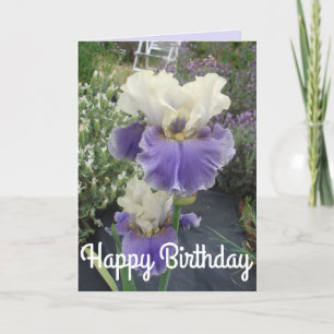Joli violet Iris Flower Photo Carte Anniversaire