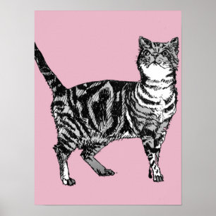 Jolie affiche d'art de chat tigré rayé rose