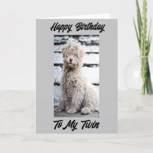 **JOLIE ANNIVERSAIRE TWIN** TULIPS CARTE DE GALORE