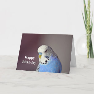 Jolie Blue Budgie photo carte d'anniversaire