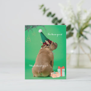 Jolie Boxer Chien Noël J'ai été bonne carte postal