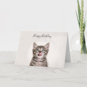 Jolie carte d'anniversaire de chaton tabby