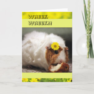 Jolie carte de jour des mères de cochons