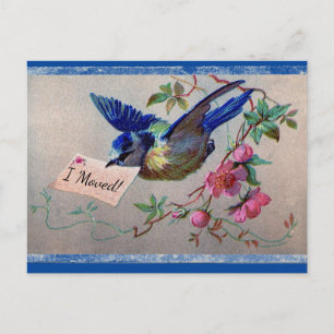 Jolie carte postale Bluebird I Moved
