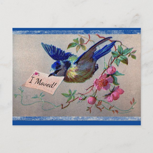 Jolie carte postale Bluebird I Moved (Devant)