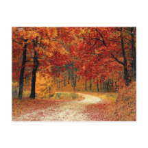 Jolie carte postale de forêt