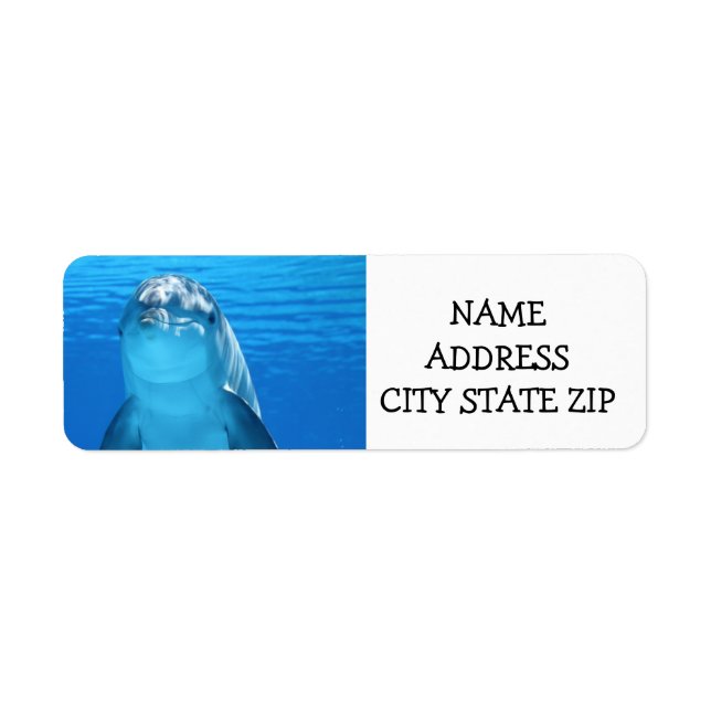 **JOLIE DOLPHIN** ÉTIQUETTES DE ADRESSE (Devant)