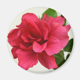Jolie en rose - Aimant