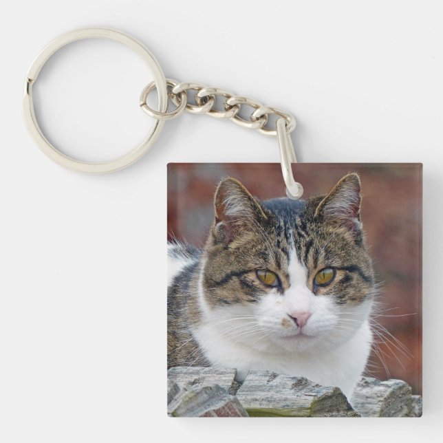 Jolie fille (Devant)