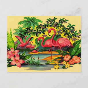 JOLIE FLAMANTS ROSES ROSE EN CARTE POSTALE TROPICA