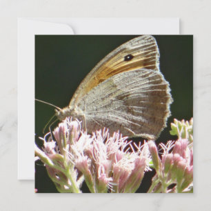 Jolie grande carte à plat papillon