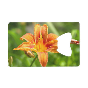 Jolie grande fleur Lily photo