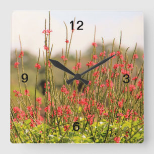Jolie horloge de fleurs de jardin