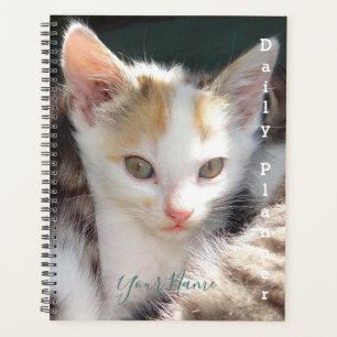 Jolie Kitty - Planificateur quotidien - HAMbWG