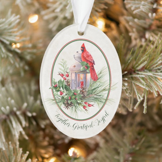 Jolie lanterne avec Noël saint et cardinal (Arbre)