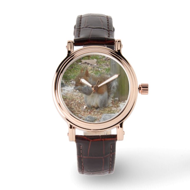 Jolie montre écureuil (Recto)