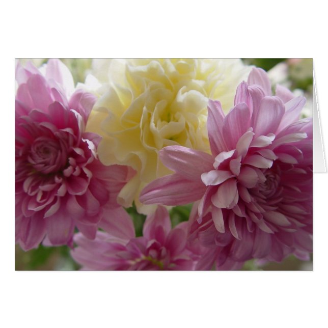 Jolie oeillette rose Bonne carte mère d'anniversai (Devant horizontal)
