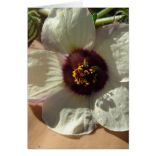 Jolie petite fleur blanche