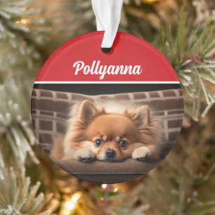 Jolie photo de vacances de Noël de chien Pomerania