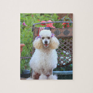 Jolie Poodle Chien Jigsaw puzzle