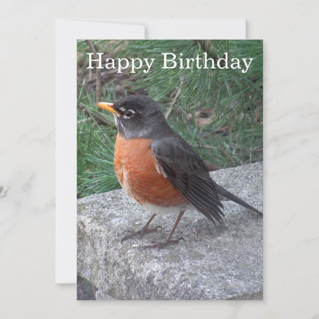 Jolie Robin Photo carte plat d'anniversaire (Devant)