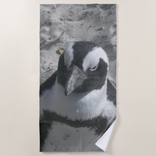 Jolie serviette de plage de Penguin sud-africain