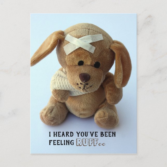 Jolie Sick Teddy Chien Obtenir Bonne carte postale (Devant)