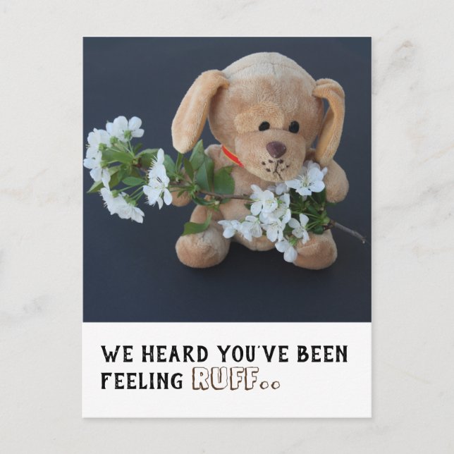 Jolie Sick Teddy Chien Obtenir Bonne carte postale (Devant)