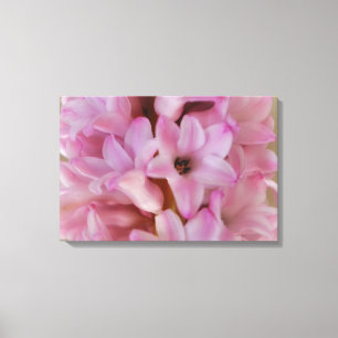 Jolie toile d'art de fleurs de jacinthe roses de p