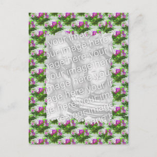 Jolie Violets Floral Photo Carte postale