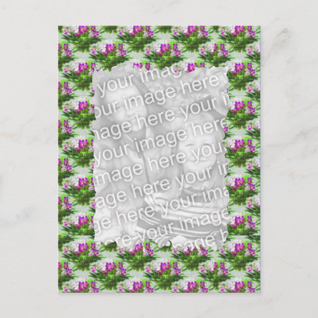 Jolie Violets Floral Photo Carte postale (Devant)