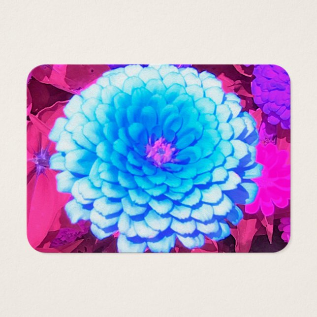 Jolie Zinnia Bleue dans le Jardin d'été pourpre (Devant)