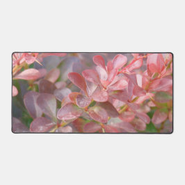 Jolies branches roses