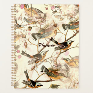 Jolies oiseaux et fleurs roses