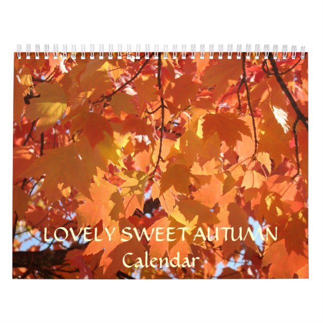 JOLIMENT SUCRÉ AUTOMNE Calendrier Cadeaux de vacan (Protection)