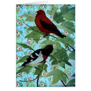 Jolis oiseaux de jour