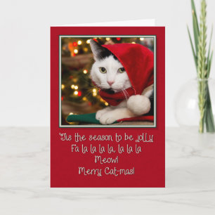 Jolly Cat-mas Feiertagskarte