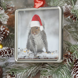 Jolly Eichhörnchen mit Weihnachtsmannmütze Square  Ornament Aus Metall