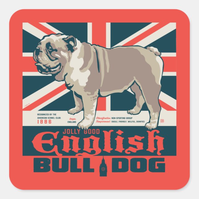 Jolly Good English Bulldog Quadratischer Aufkleber (Vorderseite)
