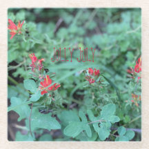 JOLLY JULY