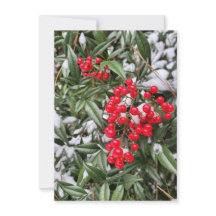 Jolly Winter Berry Noël carte de voeux