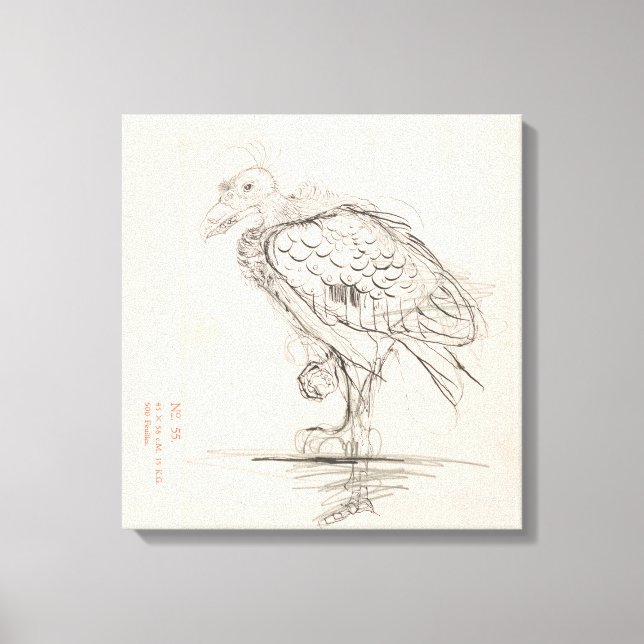 Jonge vogel, staar links op én poot, Jan Ma Leinwanddruck (Vorderseite)