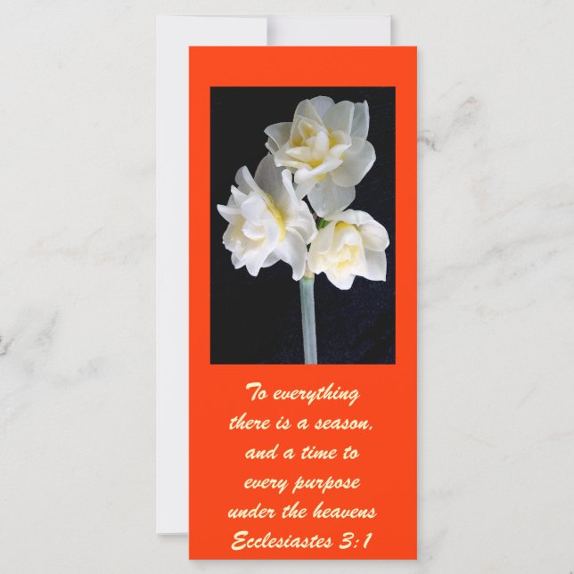 Jonquil Blume - Ecclesiastes 3:1 (Vorderseite)